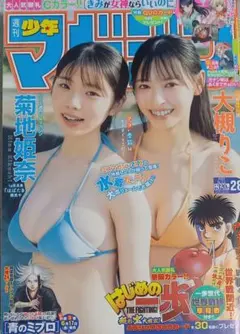 Item thumbnail for item b53c334a-8a82-4a25-bb04-1694cf1b869e