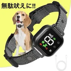 Item thumbnail for item 853ba7df-a41e-43e4-b5eb-104426dd8087