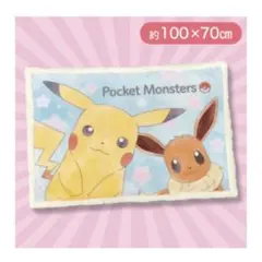 ポケモン　ピカチュウ&イーブイふわもこ　ボア膝掛け毛布　ブランケット