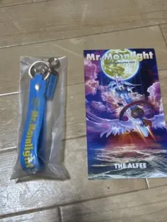 THE ALFEE 2026夏イベ DVDパンフレット メモリアルチケット - メルカリ