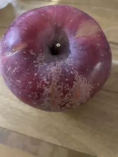 ちゅらさま専用　傷あり赤リンゴ