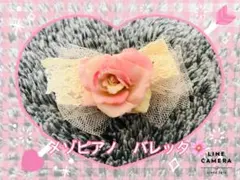 Item thumbnail for item f5929153-3516-426e-bb4f-a0165b5b90a9