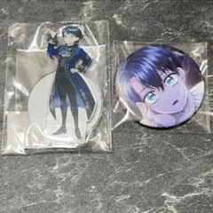 無能な継母ですが家族の溺愛が止まりません ソラジマ展 アクリルスタンド 缶バッジ