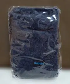 Item thumbnail for item b9bd5fe7-2a12-4447-ae72-3fb16b86ad00