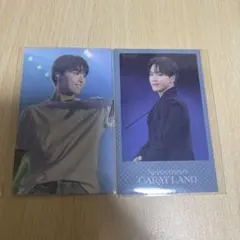 SEVENTEEN CARAT LAND 2024 ケレン トレカ ディノ