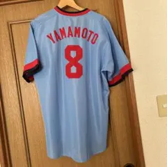 Item thumbnail for item a1128325-97a1-43aa-81e9-bcd59513d612