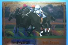 ヒシアマゾン第19回エ女王杯THEGRADEONE20世紀の名馬(21位)