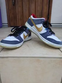 Ishod Wair × Nike SB Dunk Low BMW