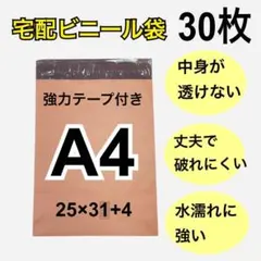 Item thumbnail for item 60b62af0-4922-4392-8bbb-918a2cd99318