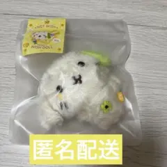 リョンリョン NCT WISH BAKERY POCKET WISH DOLL - メルカリ