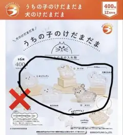 うちの子のけだまだま　犬のけだまだま　5種