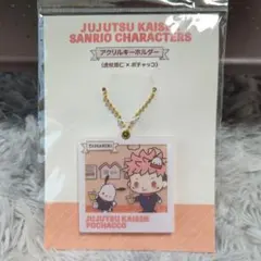 呪術廻戦 POCHACCO アクリルキーホルダー(虎杖悠仁×ポチャッコ)