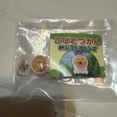 こびとづかん　めじるしアクセサリー　カクレモモジリ　即日発送