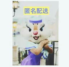 クララ様 リクエスト 3点 まとめ商品