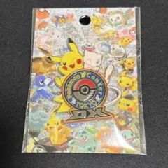 新品未使用ポケモンセンタートウキョーDX 限定 ロゴピンズ ピンバッチ