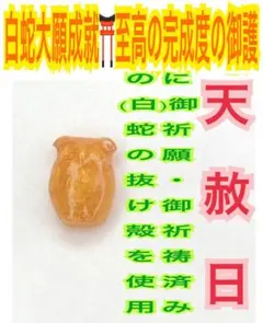 寛永通宝 ✨古銭✨種銭✨福銭✨蛇の抜け殻 ✨白蛇のお守り【天赦日ご祈祷済み】AB m10159033247_1.jpg?1763645063