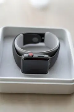 Apple Watch Edition Series 3 42mm　セラミック