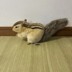 リスぬいぐるみ