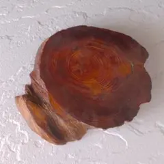 天然木 切り株 花台 飾り台 一枚板