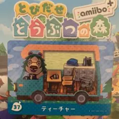 どうぶつの森　amiibo＋　37 ティーチャー