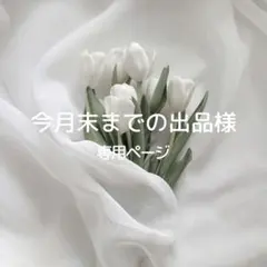 今月末までの出品様専用ページ