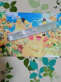 海外限定】ポケモン Pokémon AURORA プレイマット ポケカ - メルカリ