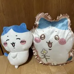 ハチワレセット