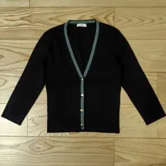 INED イネド カーディガン Vネックカーディガン　チルデンニットガーデ