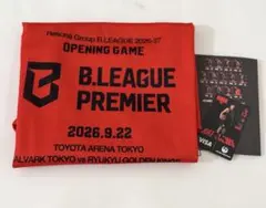 ⭐︎おまけ付き⭐︎ アルバルク東京 開幕デザイン ノースリーブ　ビブス　テーブス海