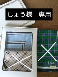 Item thumbnail for item 60ae877c-75ab-4b4e-a3d0-c1566258b633