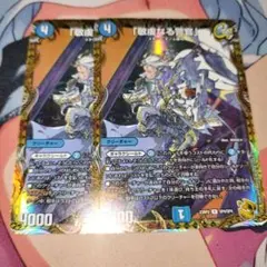 敬虔なる警官 パイアスパトロールポリス 金トレジャー 2枚セット
