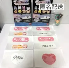 スキズ　SKZOO チャームエイド フォクシニー アイエン　2セット　＋めじるし