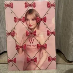 【未開封】Wonjungyo ウォンジョンヨ TWICE モモ クリアファイル