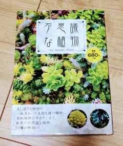 不思議な植物　世界の植物53