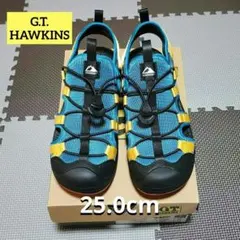 【G.T.HAWKINS】トウガードファストレース 25cm