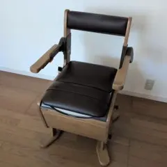 Panasonic 脱臭プラスチック便座 PN-L23416MB