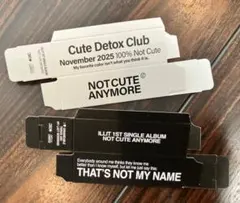 NOT CUTE ANYMORE ボックスセット