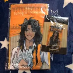 ツイステッドワンダーランド ツイステ サバナクロー寮 タオル パスケース レオナ