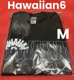 Hawaiian6 size：M Tシャツ❸dustbox※locofrank