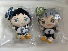 ハイキュー　梟谷　ぬい　セット