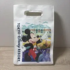 トート　ショッパー　ディズニー　バッグ ミッキー ミニー