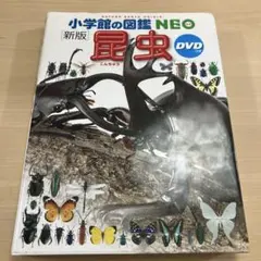 小学館の図鑑NEO 新版　昆虫　DVD付き