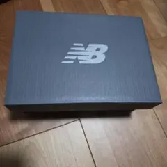 IZ996GR3 new balance スニーカー グレー 13.5cm