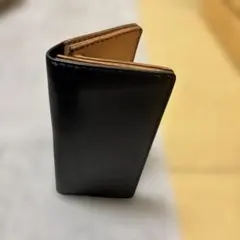 Item thumbnail for item 2b123cf5-fde0-44e6-8603-10917e4ca819