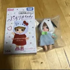 限定値下げ！　ぷちリカちゃん　サンリオ　ポチャッコ