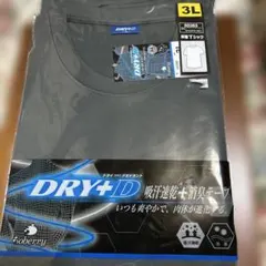 DRY+D 半袖Tシャツ 3L