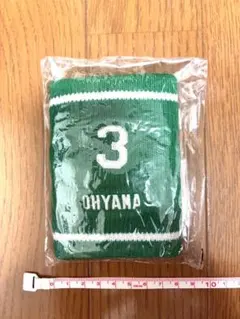 ❇️新品未使用❇️大島洋平 リストバンド 昇竜デー限定バージョン 中