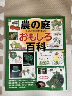 別冊 Lightning vol.207 グリーンライフ 男らしい植物。珍奇植物