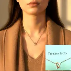 極美品 ティファニー ラビングハート ダイヤ ネックレス シルバー925 TIFFANY&Co. ティファニー 美品 ダイヤ ラビングハート
