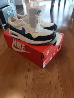 Nike ナイキ　エアマックス　26cm